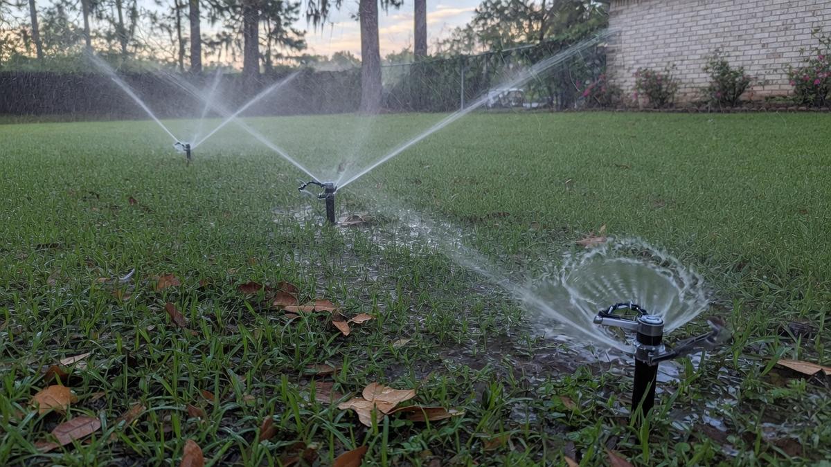 What a January irrigation check catches in Houston