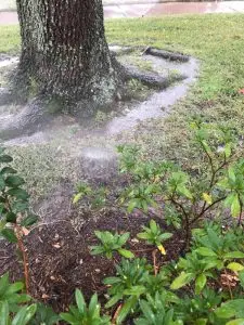 Sprinkler Valve Repair